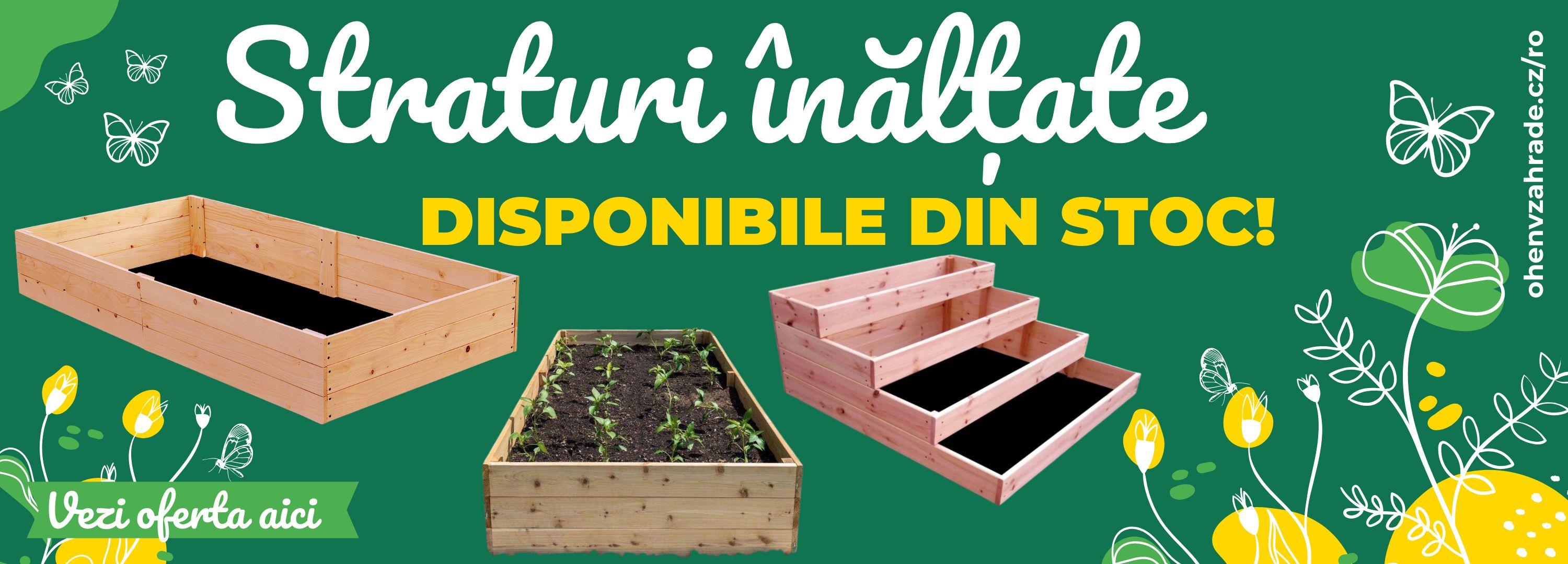 Straturi înălțate