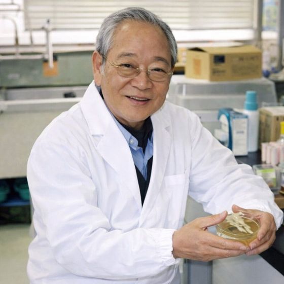 Dr. Iichiroh Ohhira ve své laboratoři