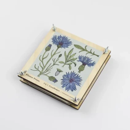dd8a4c2c26e9a048b4056218f372cf0b cornflower 1 result