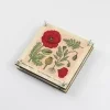cccb9f8bc003dfe099ab32463225c025 corn poppy 1 result