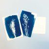 z6aa1eb0607a06 kits postcardkit2 1