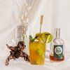 diy rum infusionsset 688744