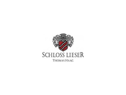 Schloss lieser