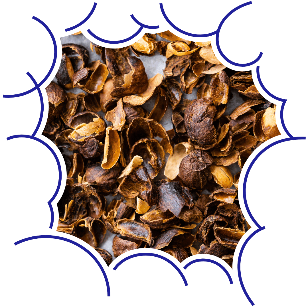 Cascara: co to je, jak chutná a proč ji pít místo kávy nebo čaje