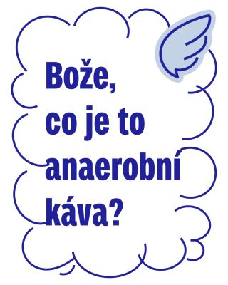 Věděli jste, že anaerobní zpracování má mnoho podob? 🌪️ A že fermentací prochází téměř každá káva? Měli byste vědět, že...