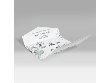 Eukalypt skládačka