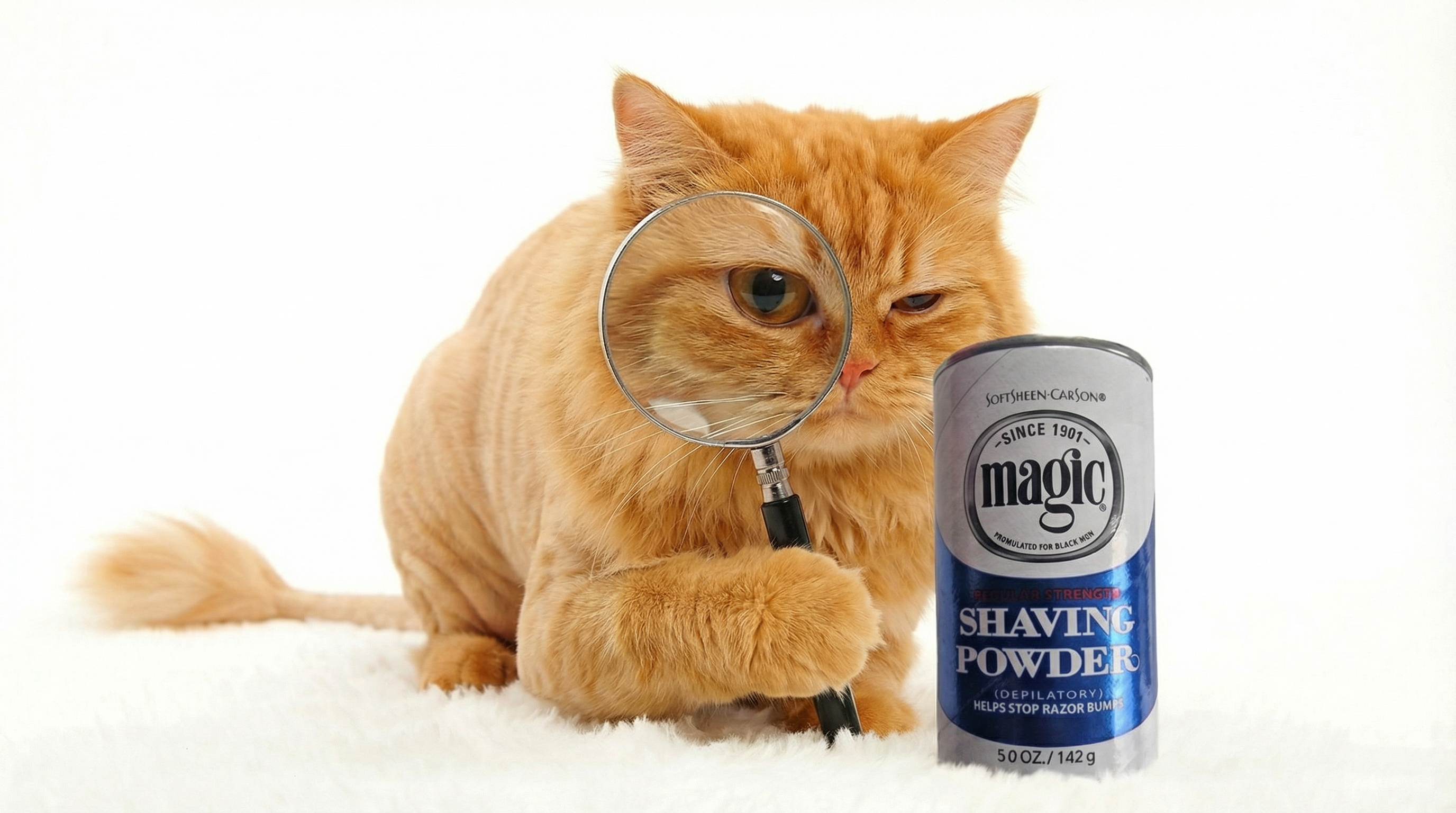 analyzed_video_task_object_replace_llm_ba048e2c692940aababfe8d26281cd94_inline_image_0_1