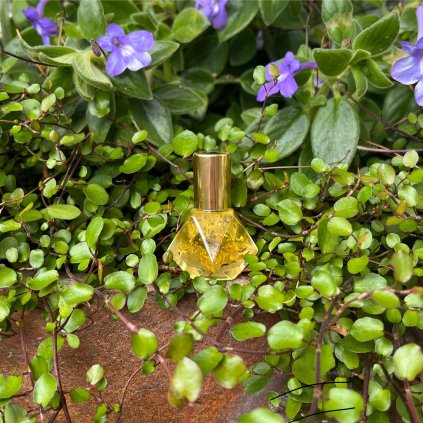 Esence ~ Andělská 10ml