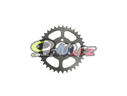 image removebg preview (22)
