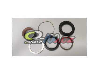 kit revisione forcella mupo gp 2