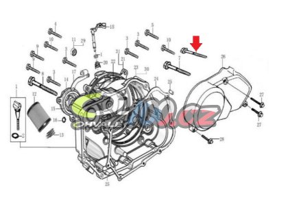 Šroub motoru 160 ZS M6x90