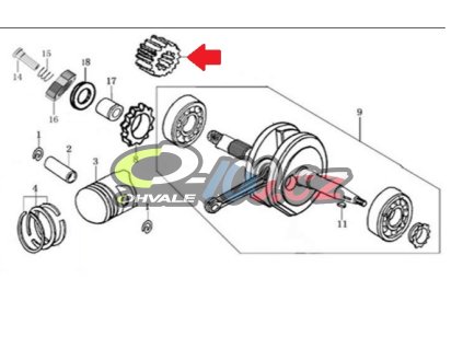Primární převod Ohvale Gp-0 160