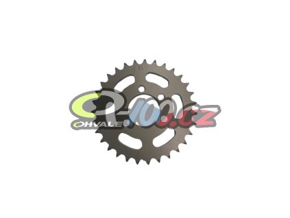 image removebg preview (14)