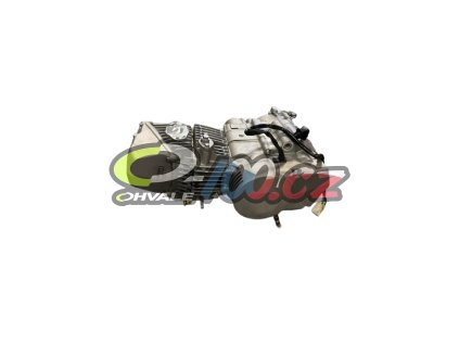 image removebg preview (30)