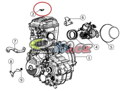Motor (1)
