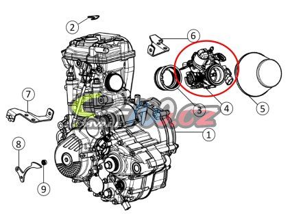 Motor (3)