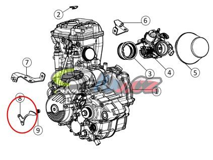 Motor (7)
