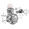 Motor (1)