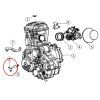Motor (7)