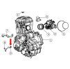 Motor (8)