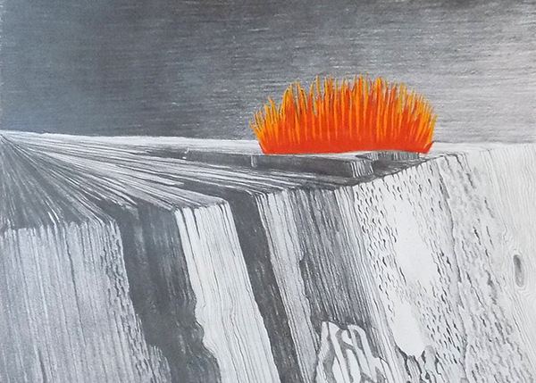 Pařezový punk nebo raději Punkový pařez?