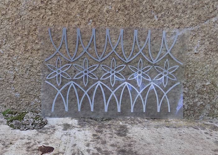 DSCN5022w