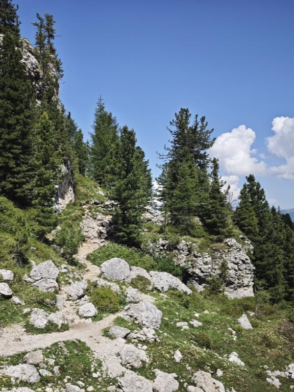 IMG_20250702_110137