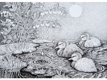 Kachňátka jdou do sprchy  Kresba stálobarevným fixem