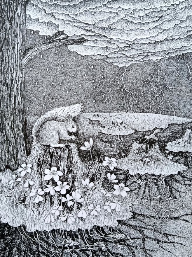 První jarní bouřka - nová kresba fixem na A4 #veverka #kresba #drawing #blacknwhite #earlyspring