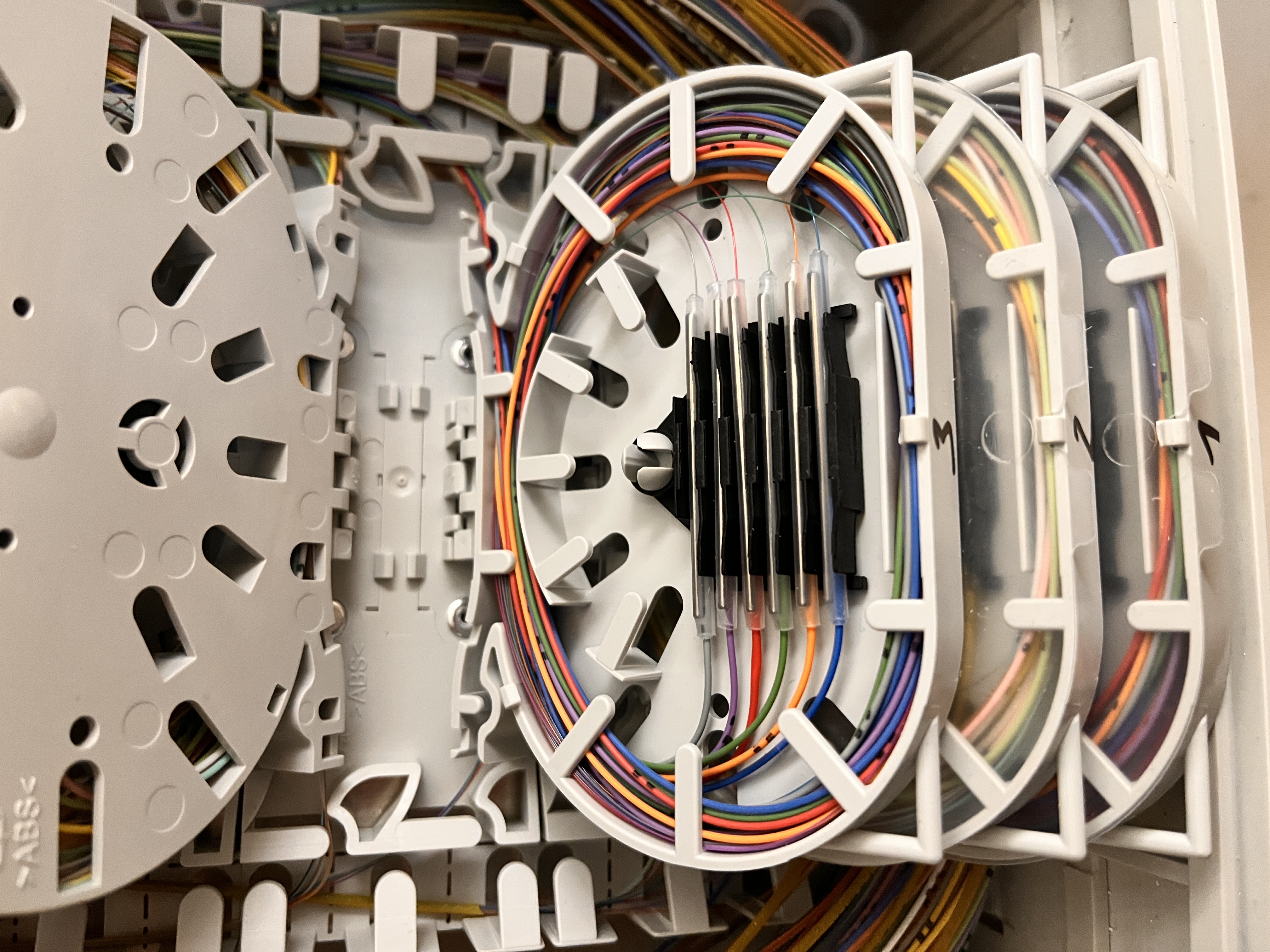 20250226_135027455_iOS