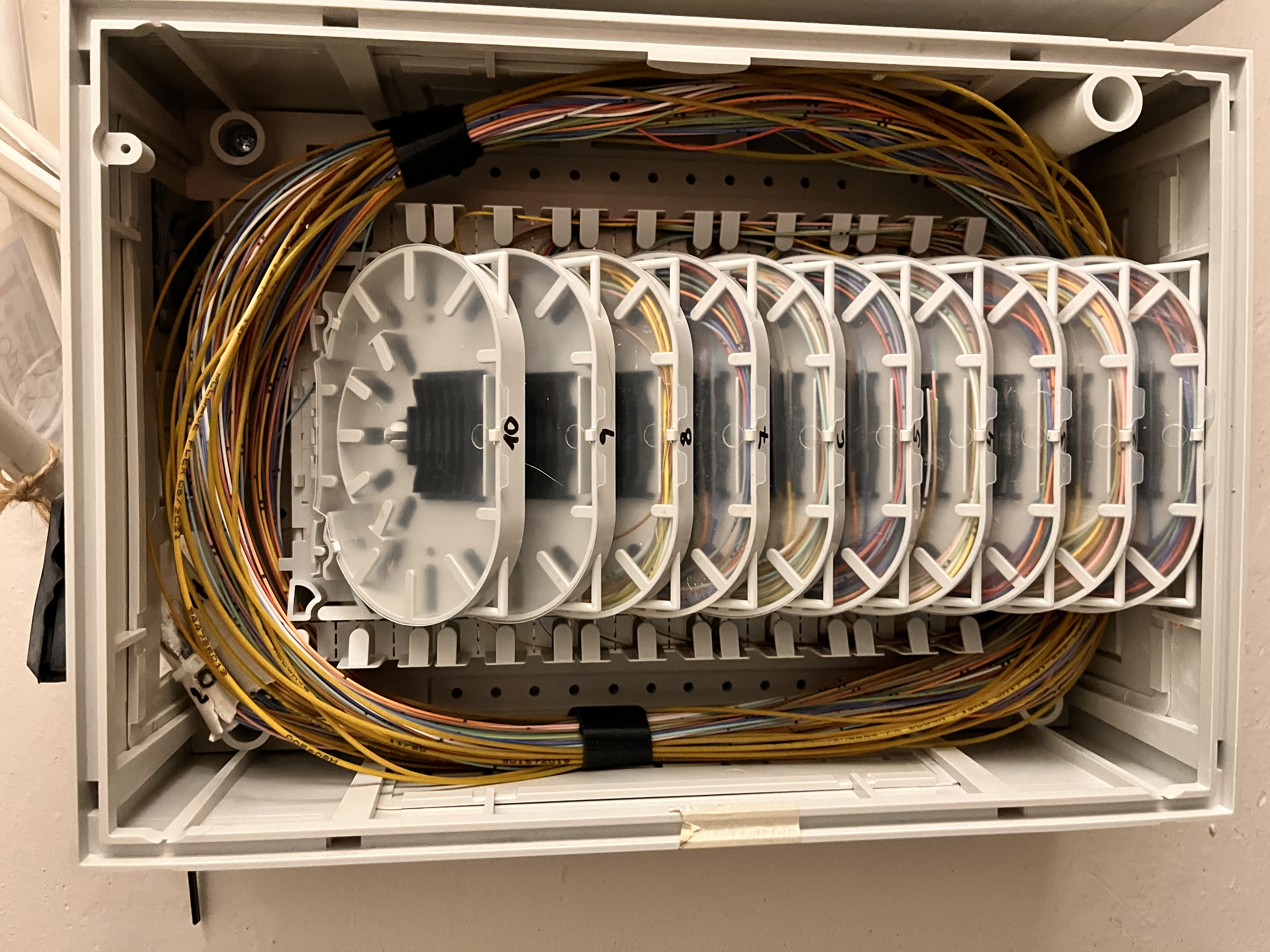 20250226_135411781_iOS