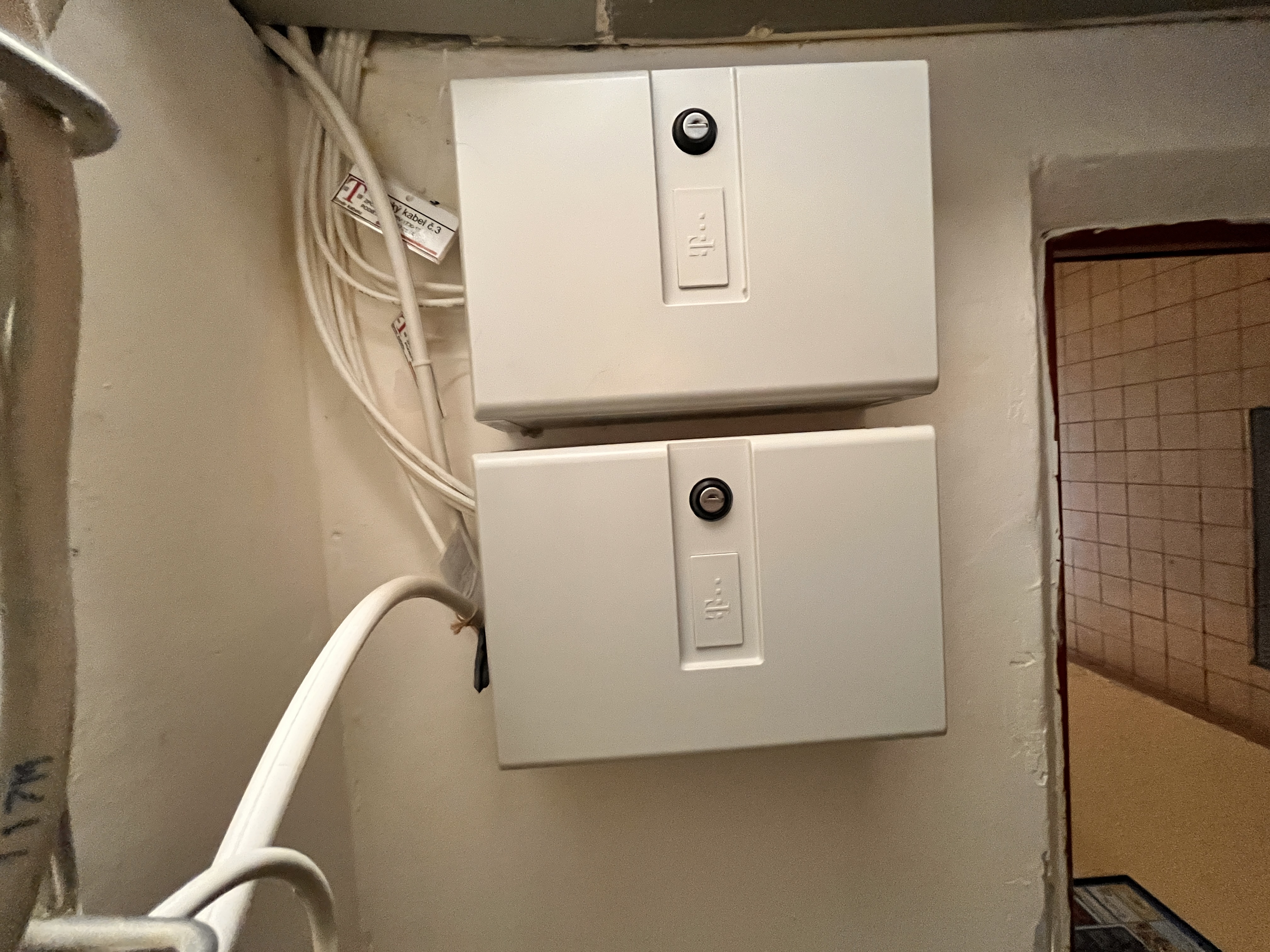 20250226_135519957_iOS