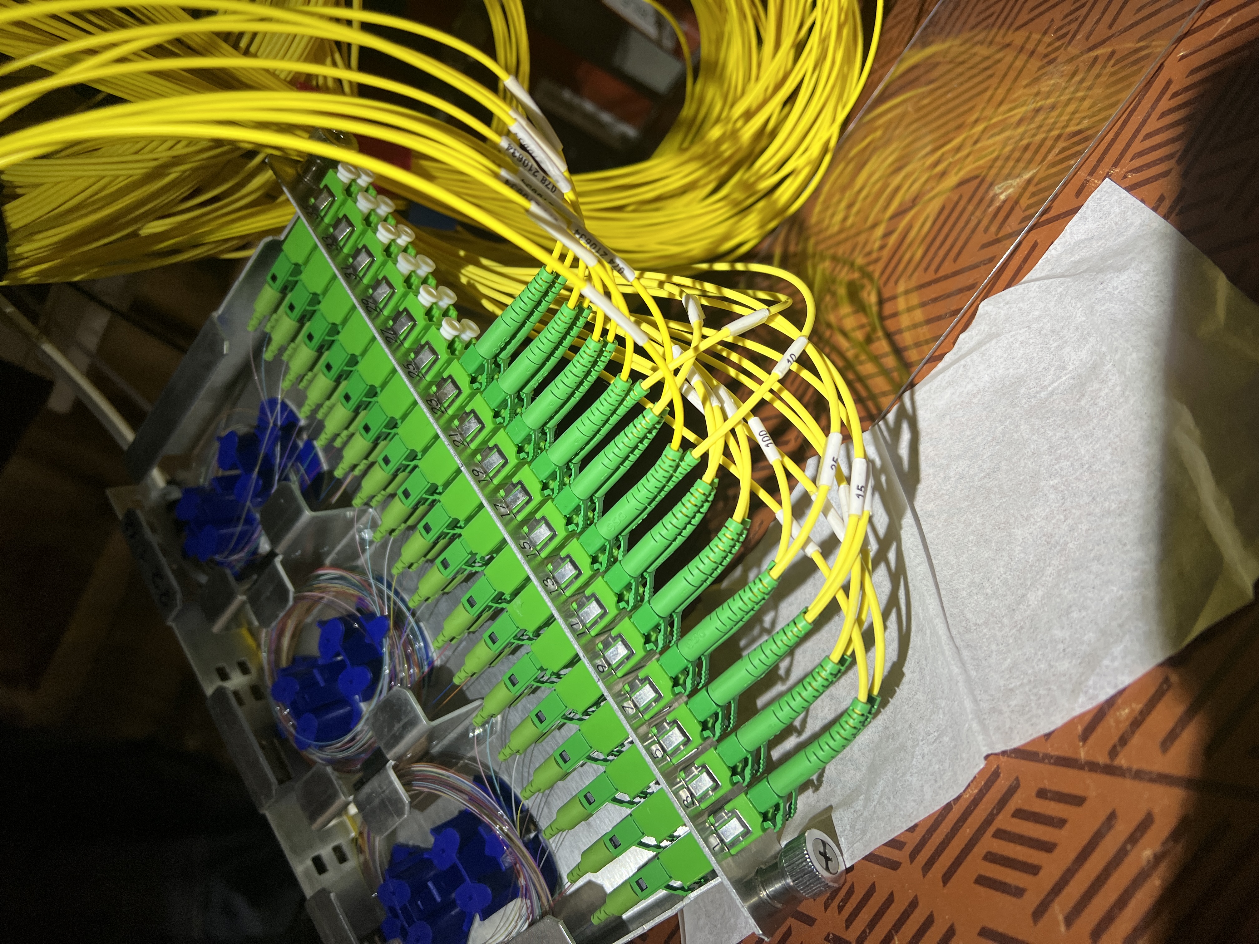 20250306_125815929_iOS