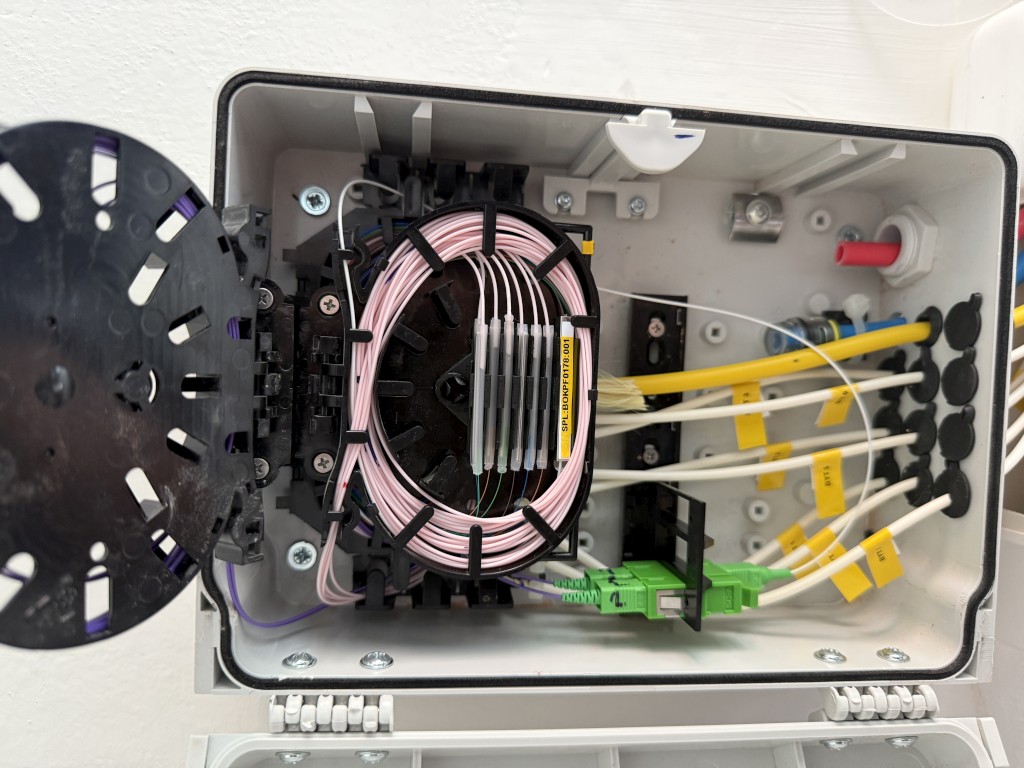 20250730_131321925_iOS