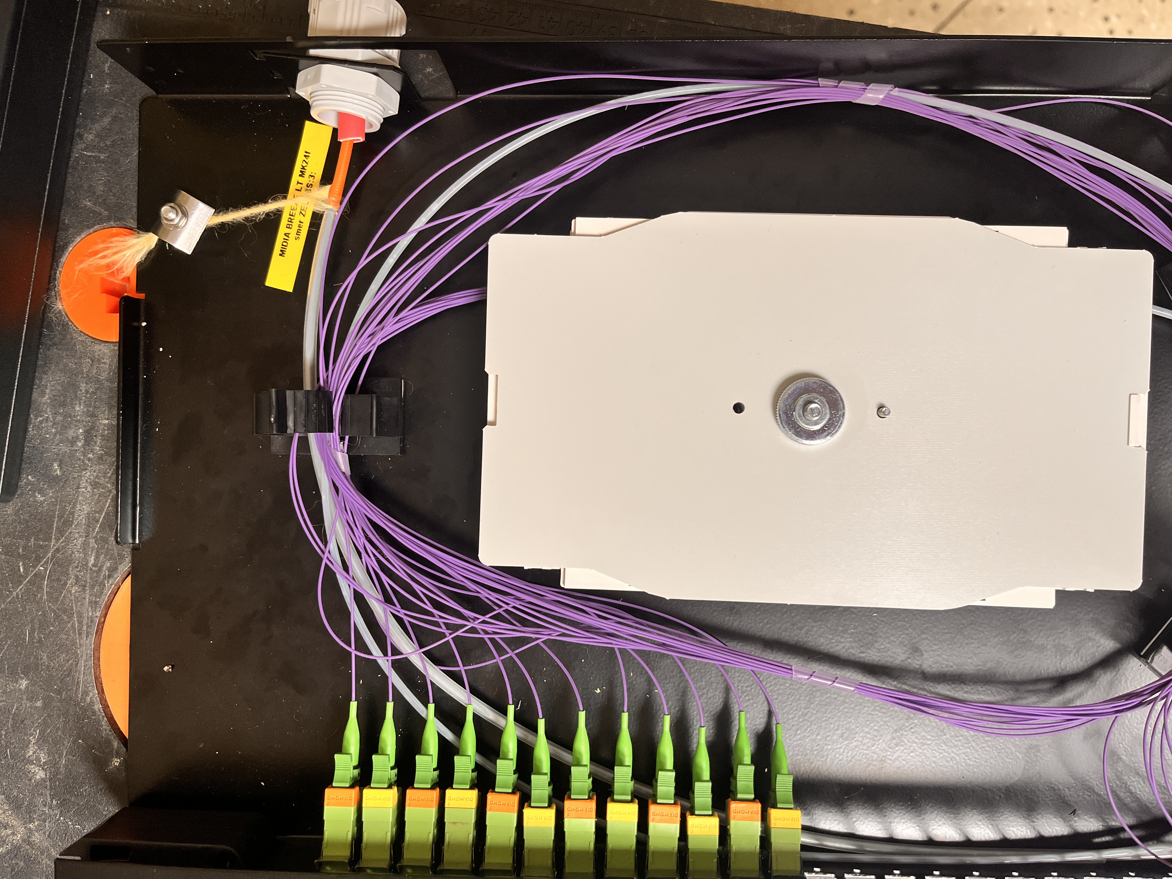 20250905_095957276_iOS