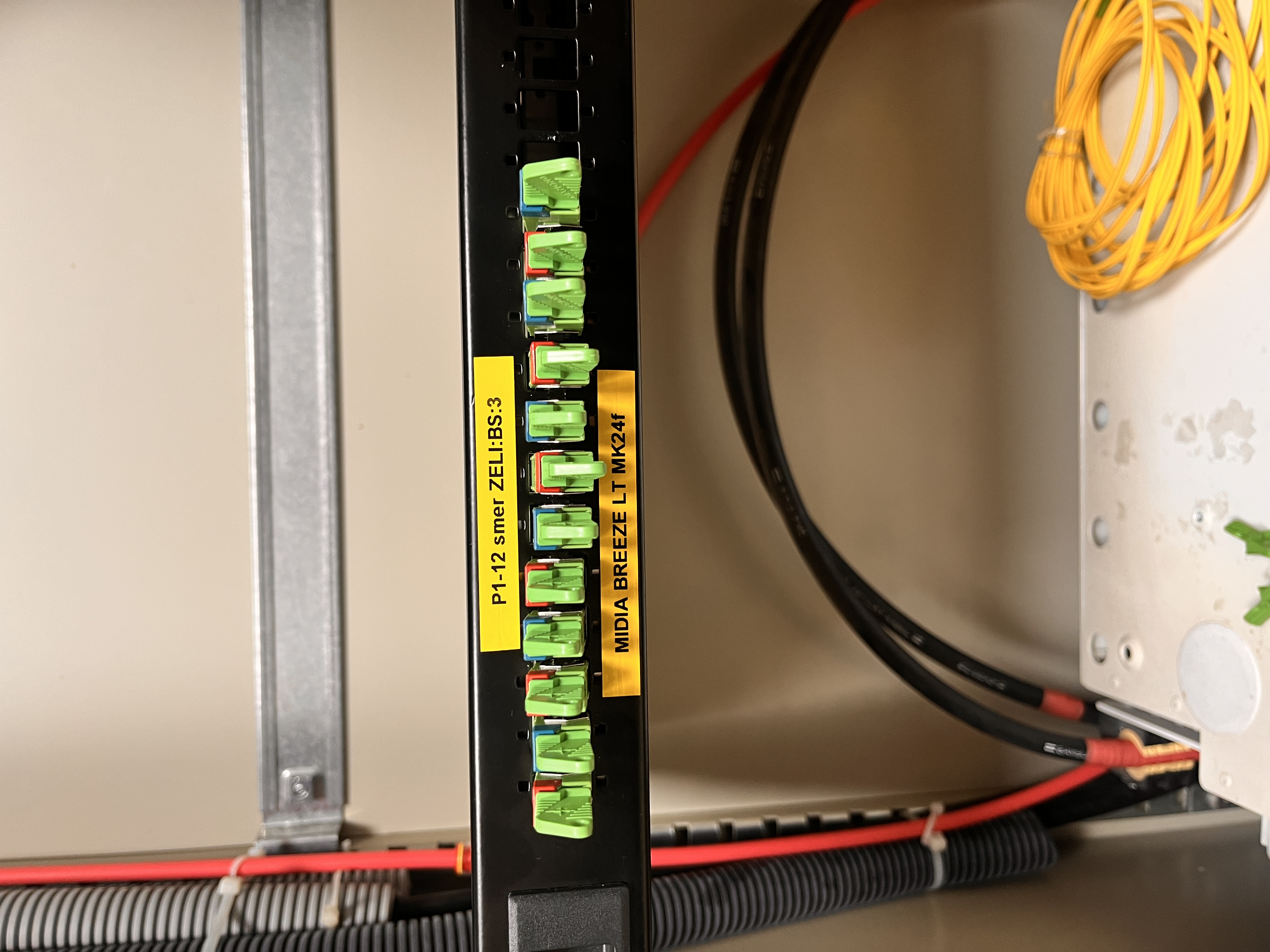 20250905_100322156_iOS