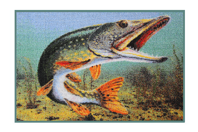 DELPHIN Rohožka 3D šťuka