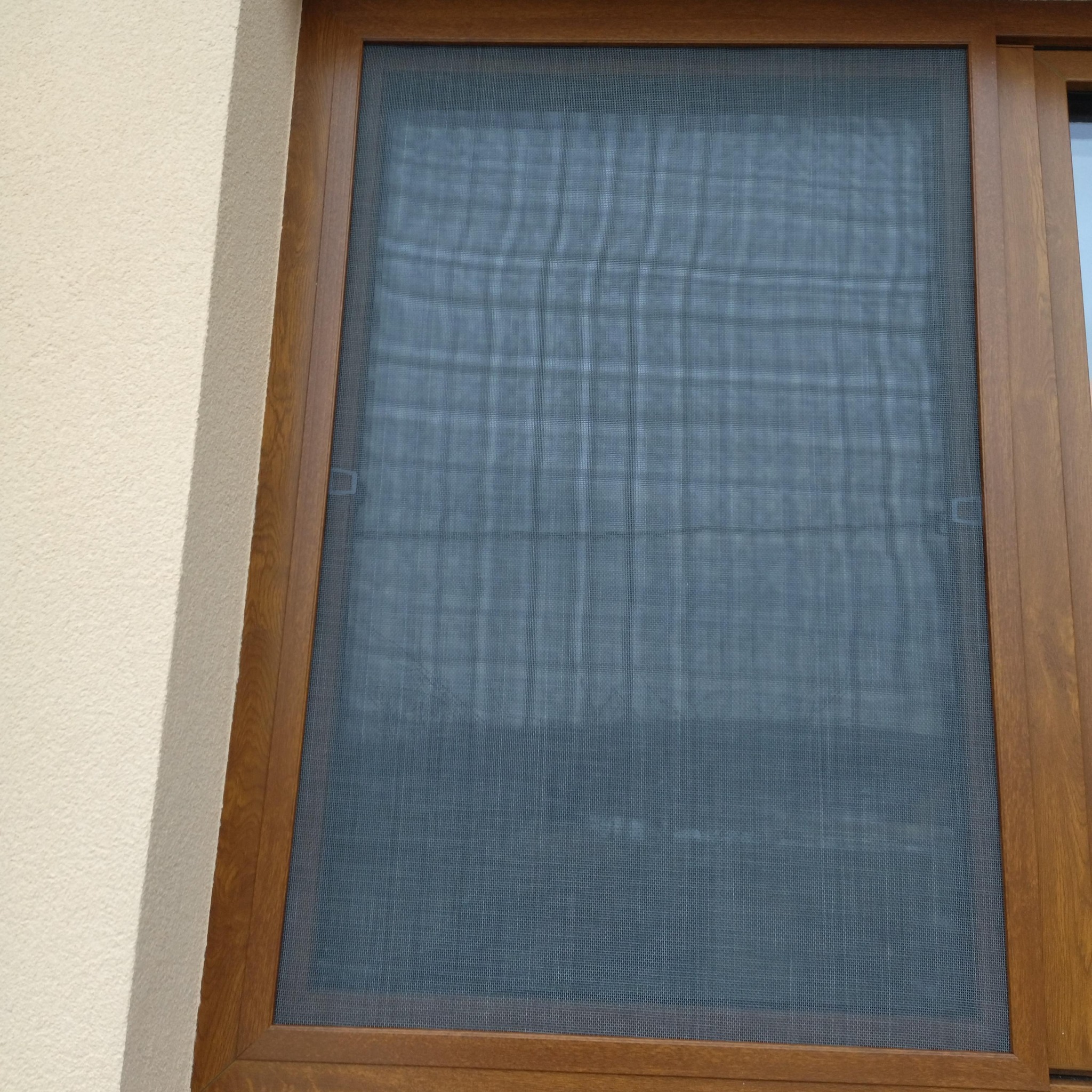 329902095_741507384359271_4767055660983782992_n