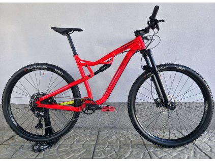 Horské kolo ROCKRIDER XC 100 S 2020 29″ velikost L