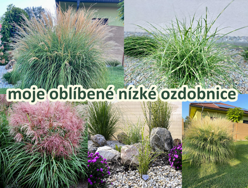 MOJE OBLÍBENÉ NÍZKÉ OZDOBNICE