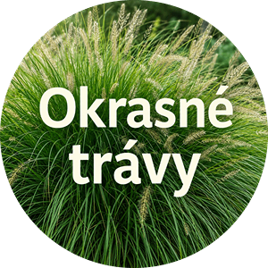 OKRASNÉ TRÁVY