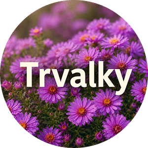 TRVALKY