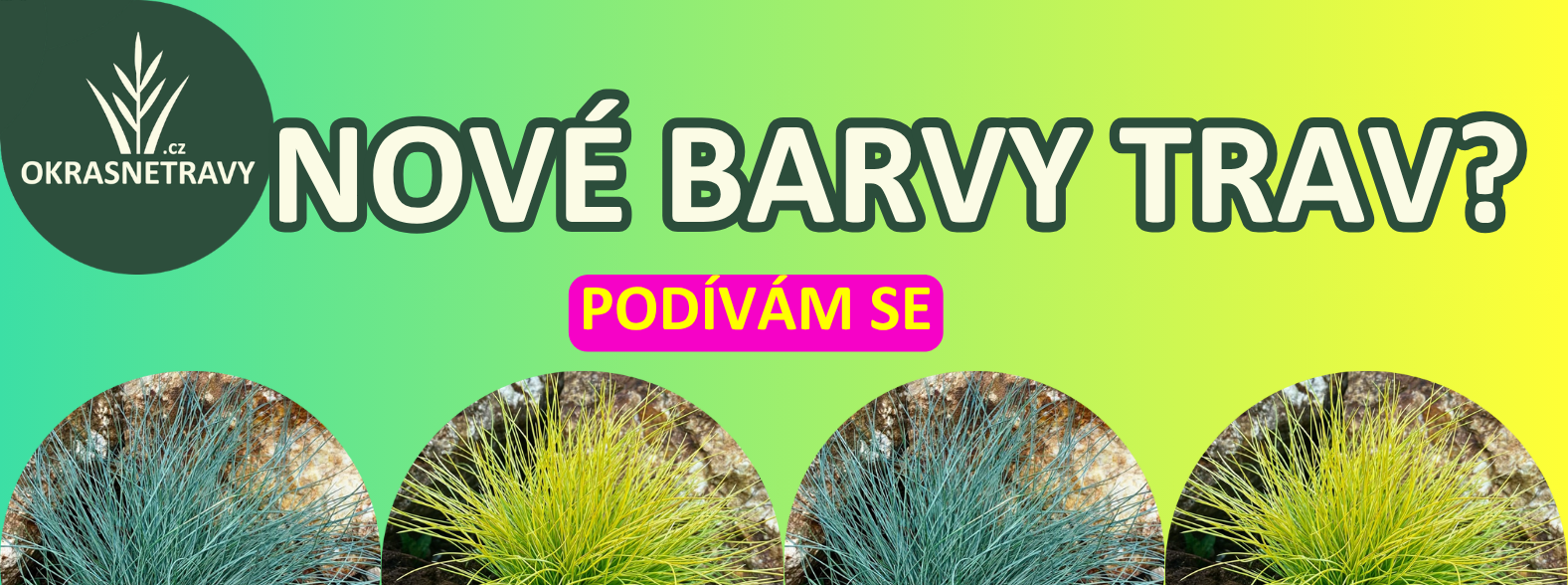 BARVY PC