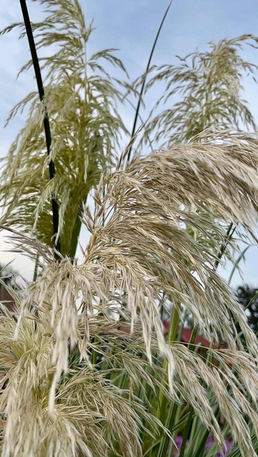 6ab15d14-12c2-42d0-bd16-dfdb0fda7f3c