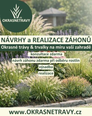 🌿 ZÁHONY NA KLÍČ – OD NÁPADU AŽ PO HOTOVOU ZAHRADU 🌿 Chcete krásný záhon, který bude fungovat dlouhé roky a bez zbytečné...