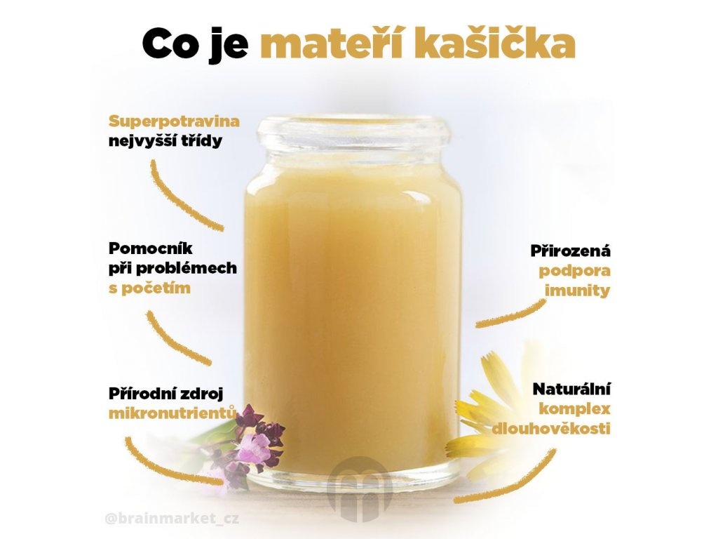 10532-2_kasicka