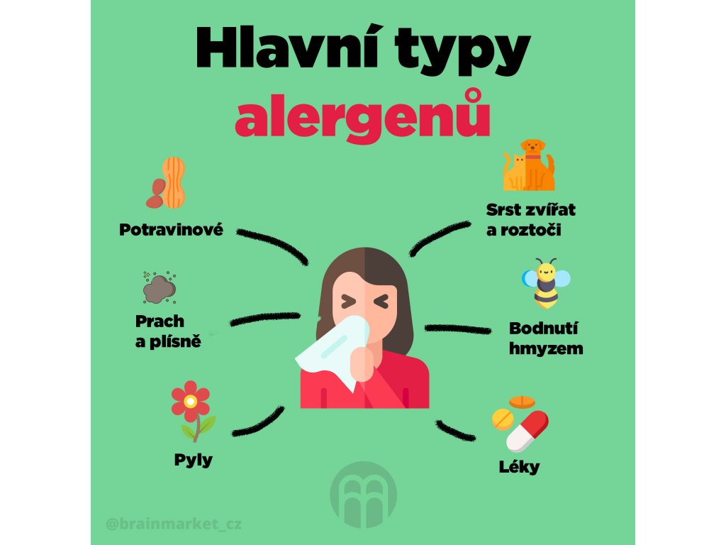 19567-7_hlavni-typy-alergii-infografika-instagram-brainmarket