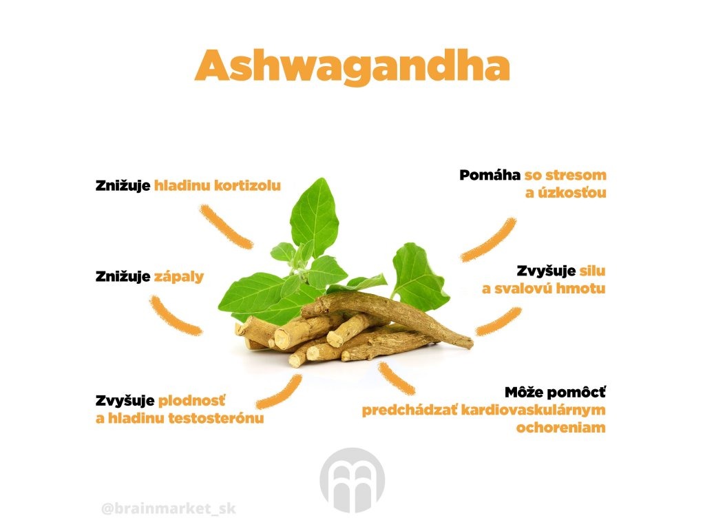 20032_ashwagandha-infografika-br