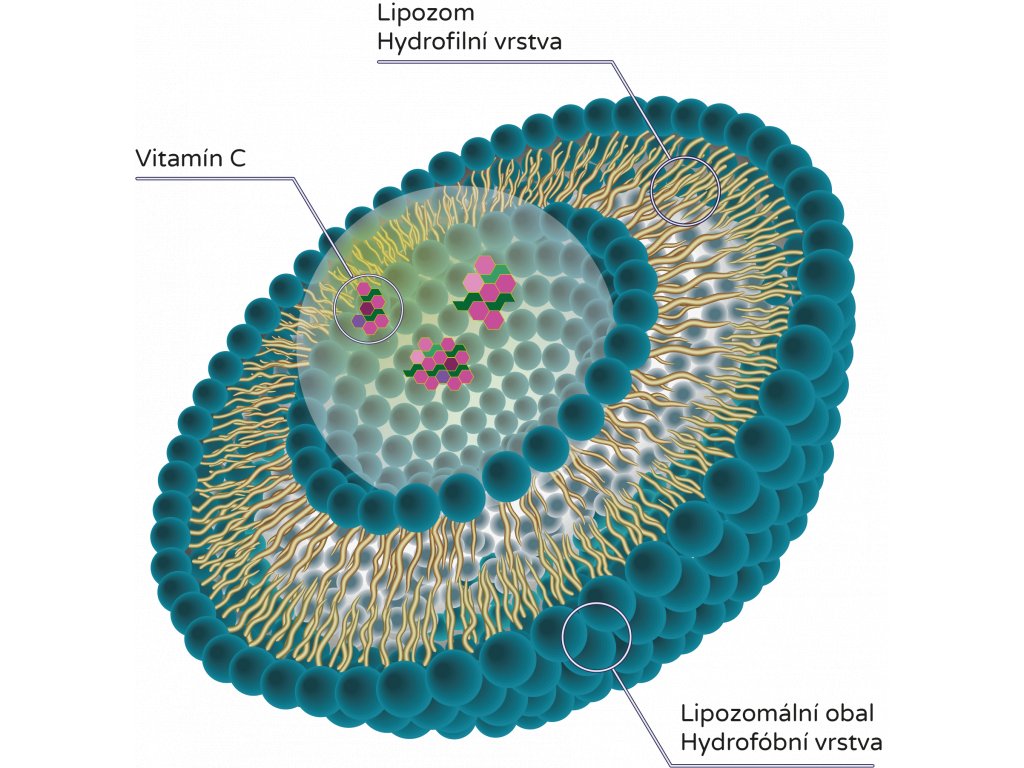 28953-11_lipozom-vitamin-c