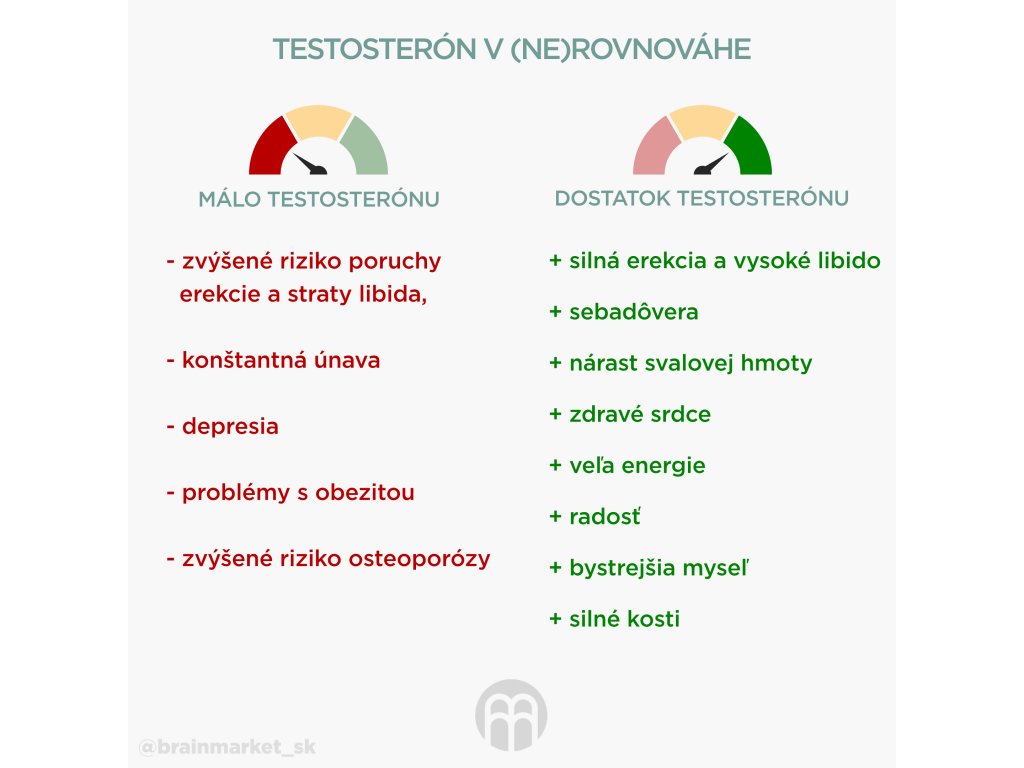 32105-1_testosteron-v-ne-rovnovaze-infografika-sk